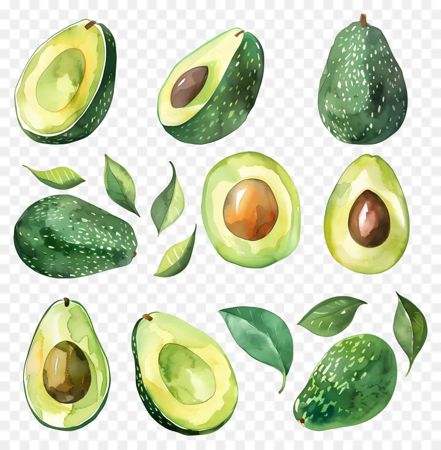 Aguacate，Fresco PNG