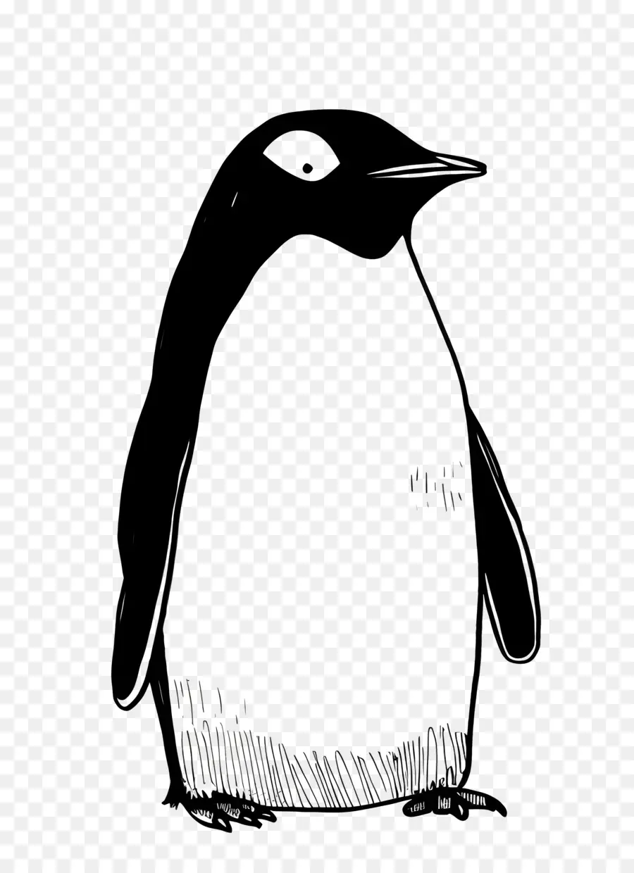 Dibujos Animados De Pingüinos，Pingüino PNG