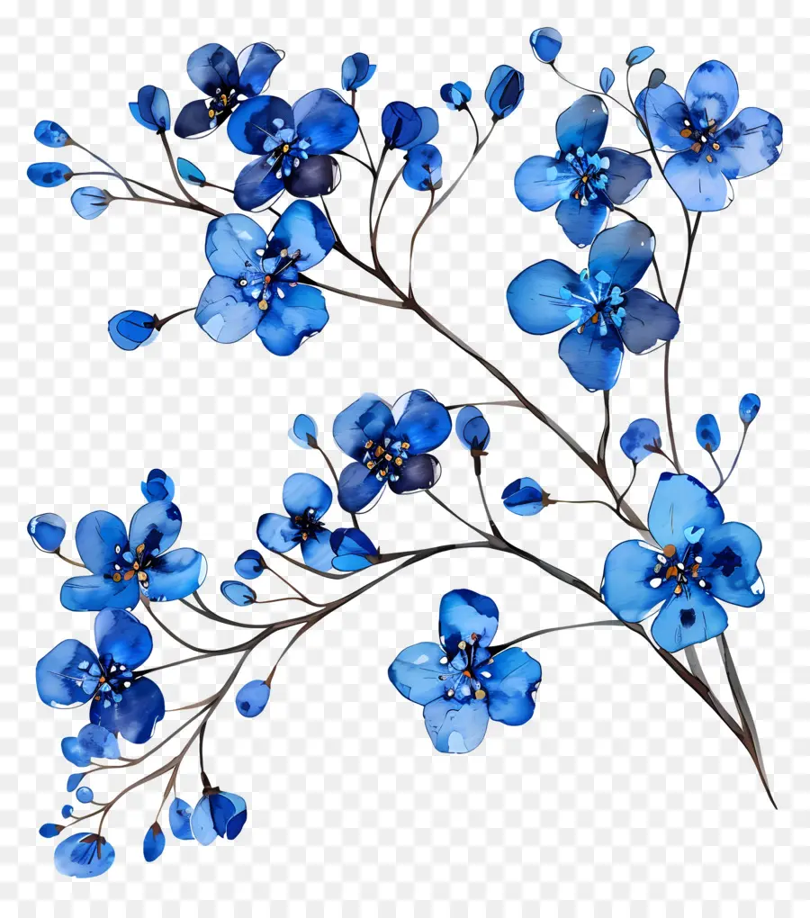 Flores De Color Azul，Flor Azul PNG