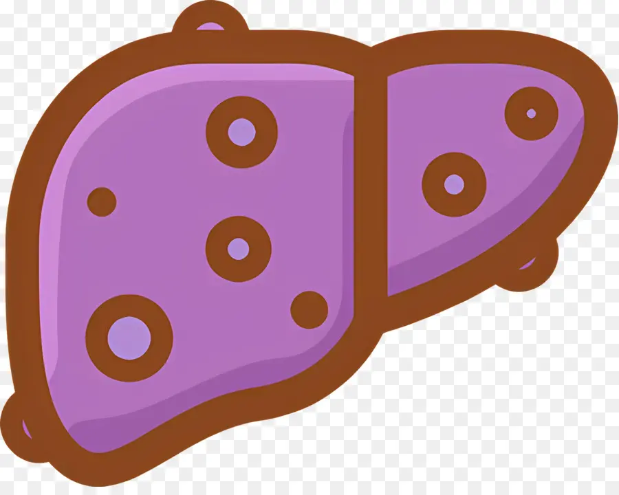 Hígado，Morado PNG