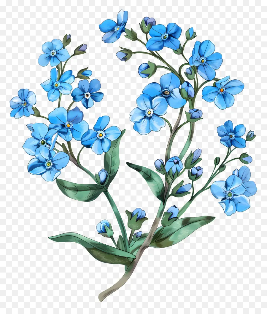 Flores De Color Azul，Pintura A La Acuarela PNG