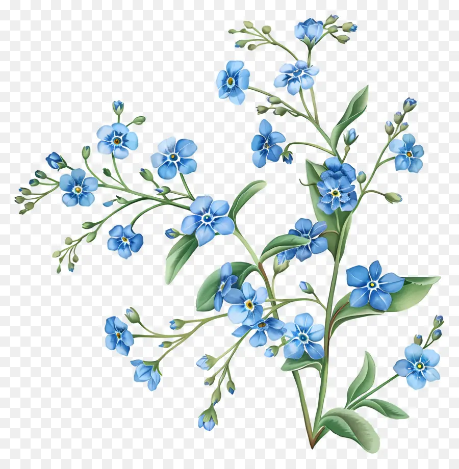 Flores De Color Azul，Me Olvide De Los Pobres PNG