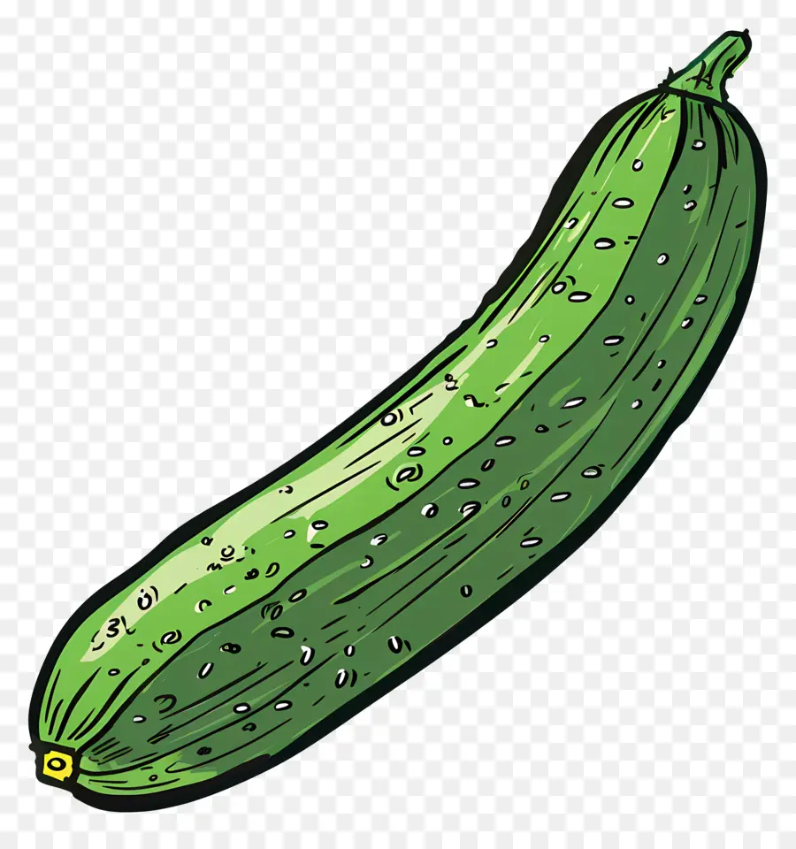 Pepino Verde，Pepino PNG