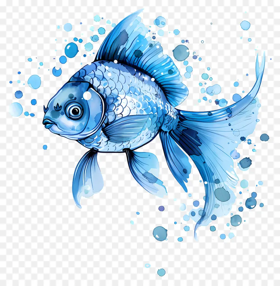 Pescado Azul，Azul De Peces De Colores PNG