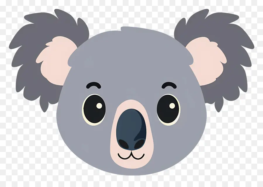 Linda Cara De Koala，Koala PNG