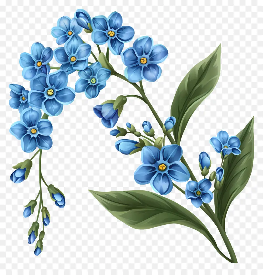 Flores De Color Azul，Olvídame No PNG