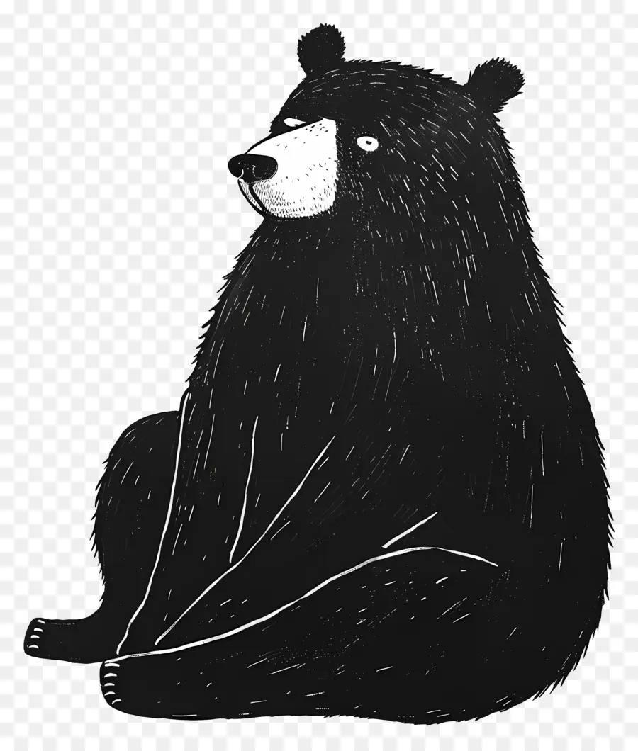 Cartoon Bear，Oso PNG