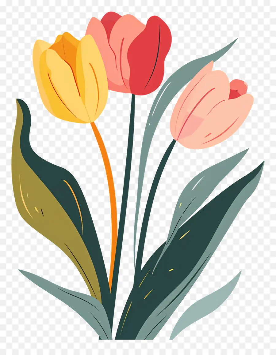 Tulipanes De Pascua，Los Tulipanes PNG