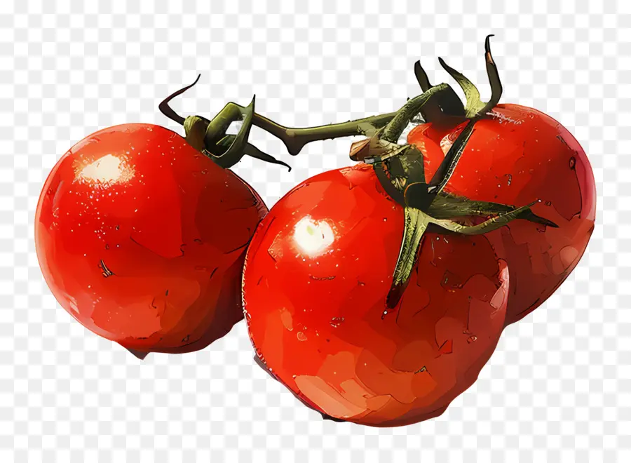 Los Tomates，Tomates Rojos PNG