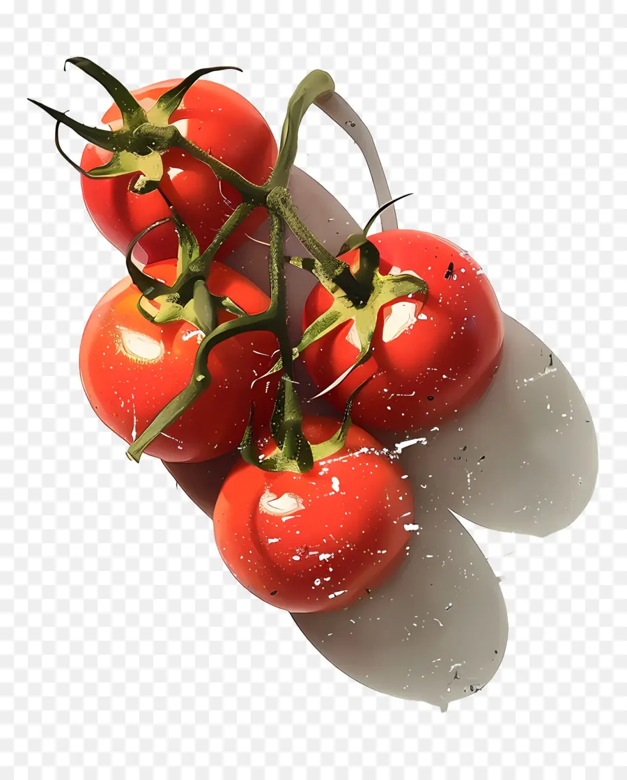 Los Tomates，Tomates Maduros PNG