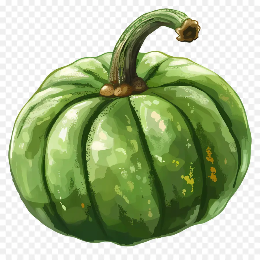 Verde Calabaza，La Forma Redonda PNG