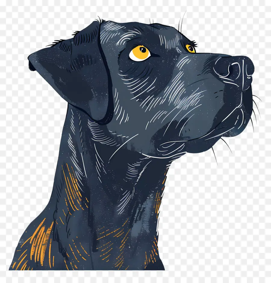 Perro，Retrato PNG