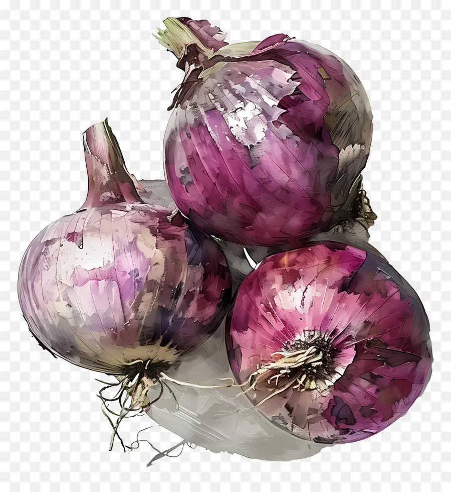 Cebollas，Púrpura Cebollas PNG