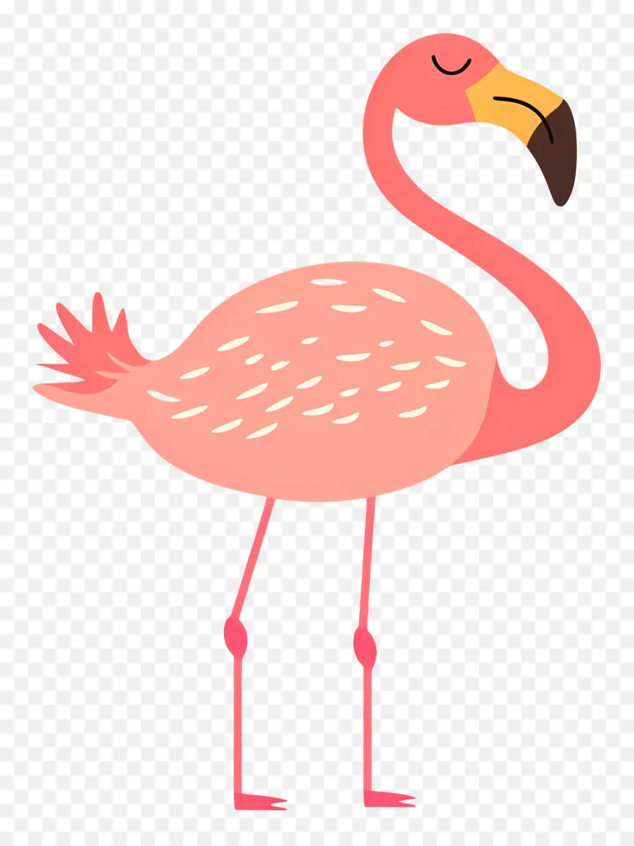 Flamingo，Flamenco Rosado PNG