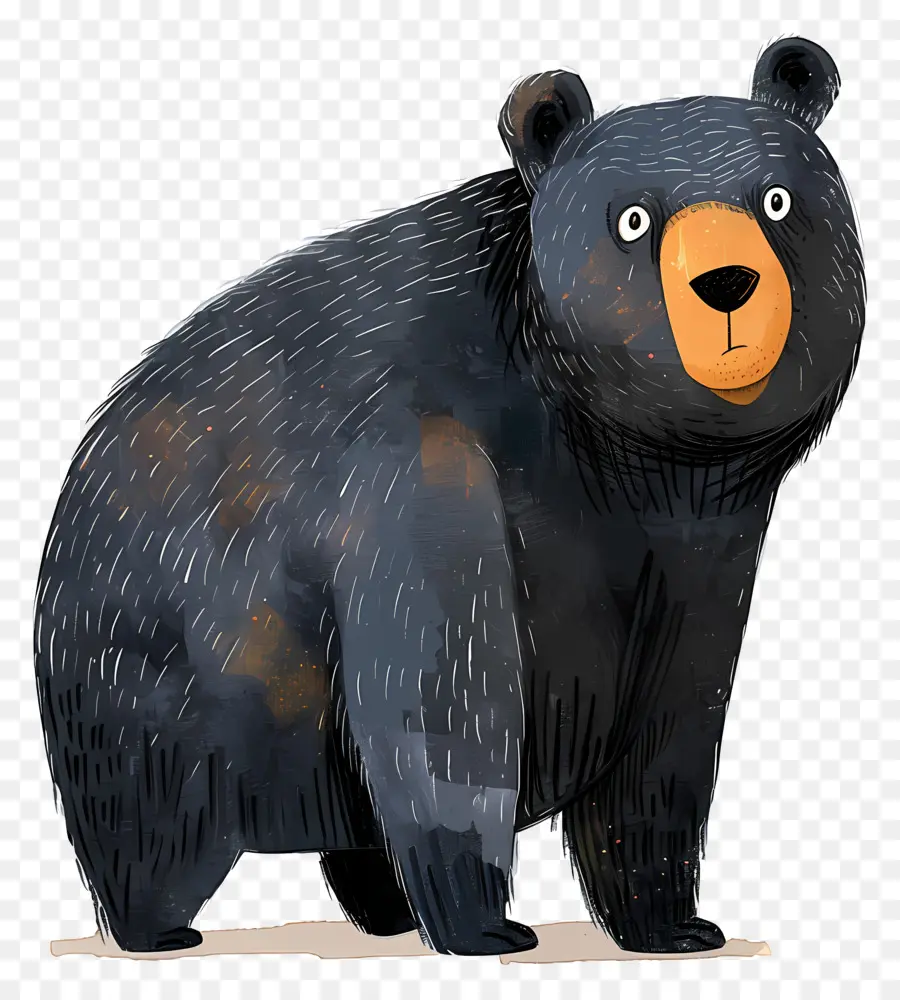 Oso，El Oso Negro PNG