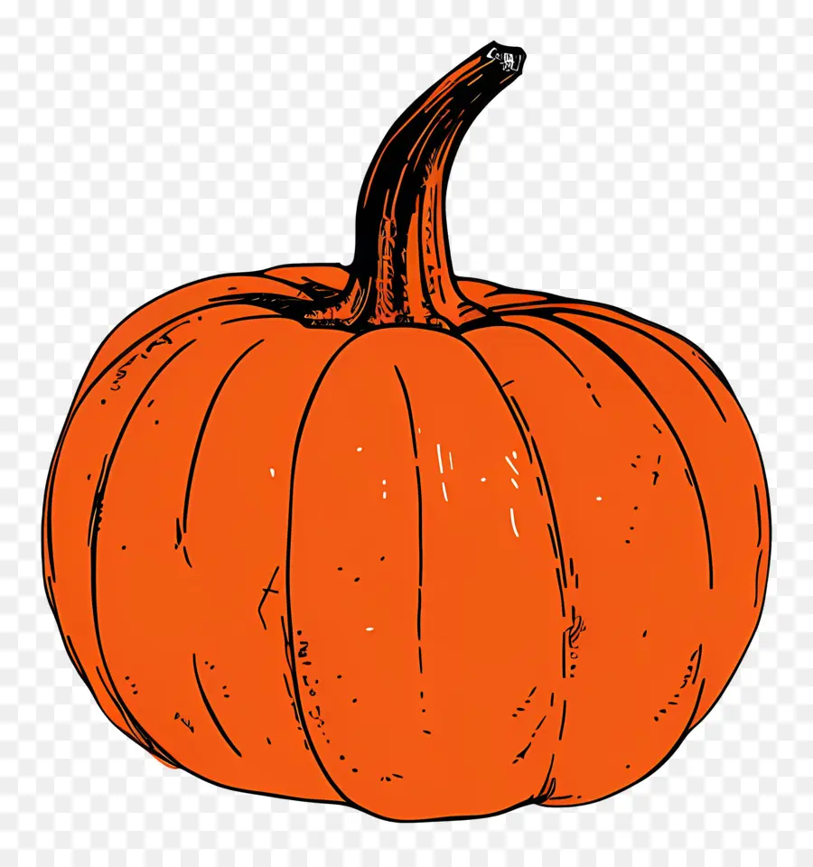 Calabaza，Handdrawn PNG