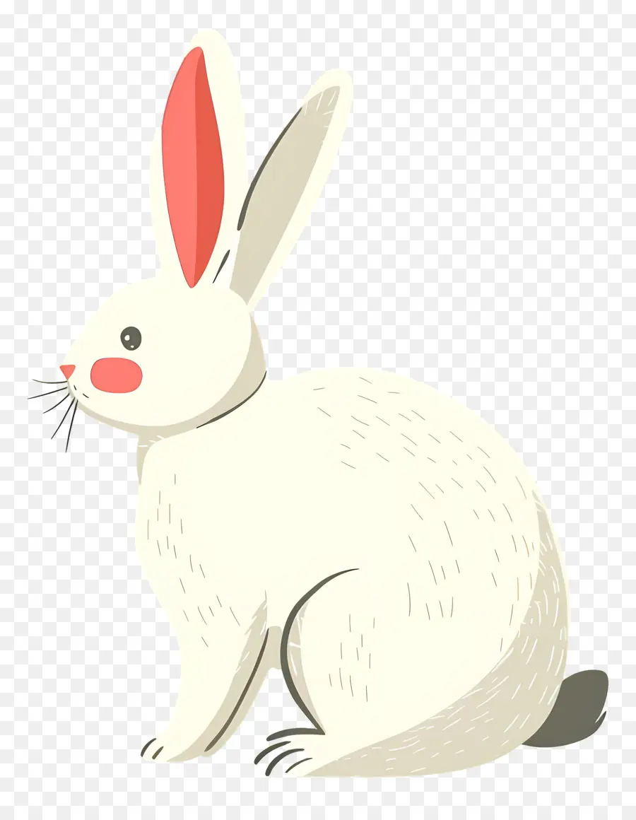 Conejito De Pascua，Conejo Blanco PNG