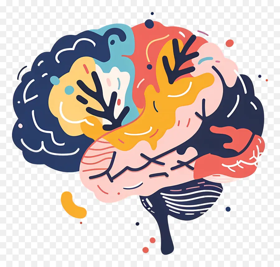 Cerebro，El Cerebro Humano PNG