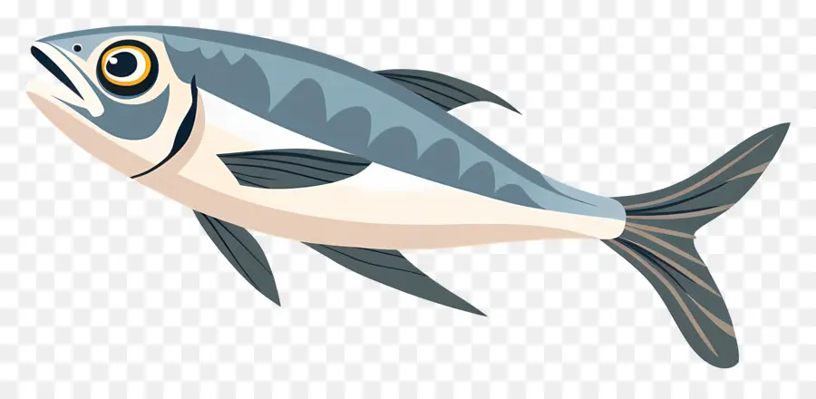 Sardina，Bluefish PNG