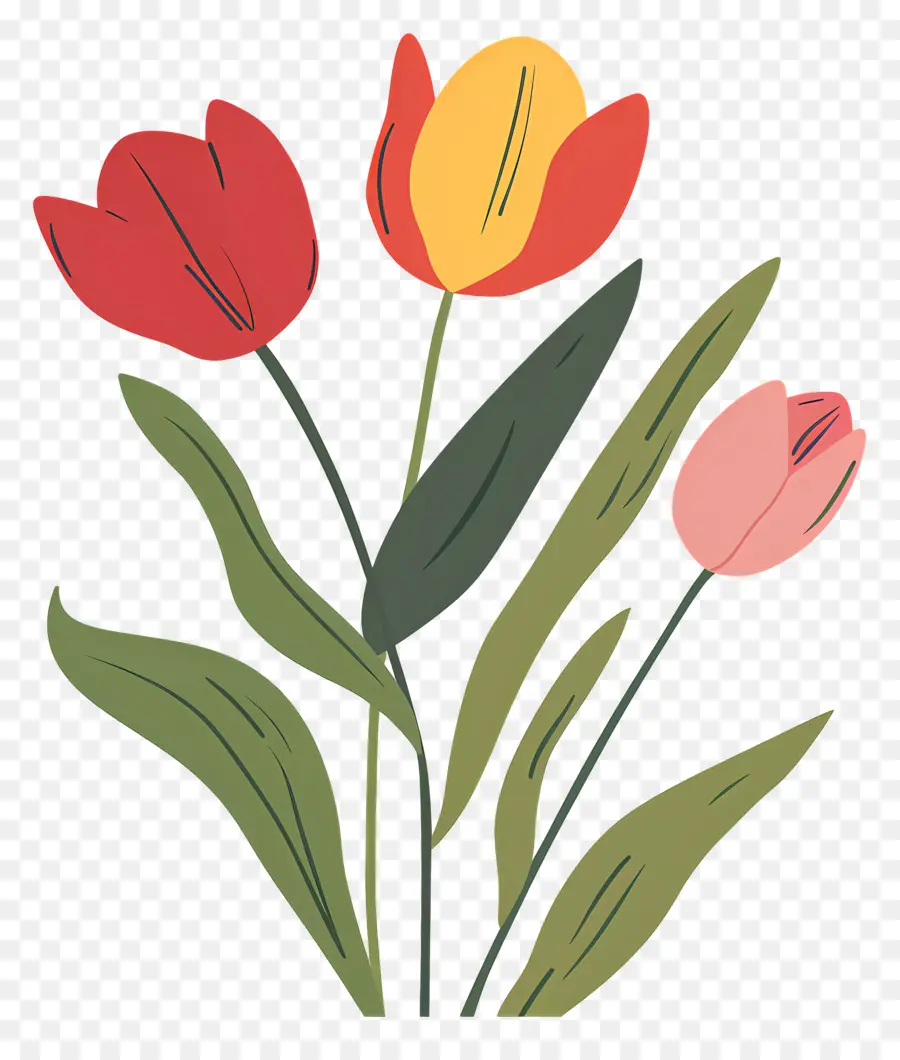 Tulipanes De Pascua，Los Tulipanes PNG