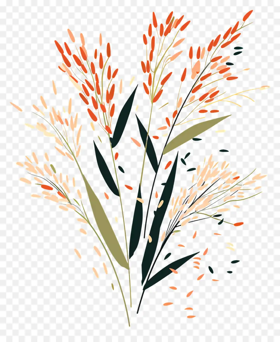 Arroz，Las Flores De Color Rojo PNG