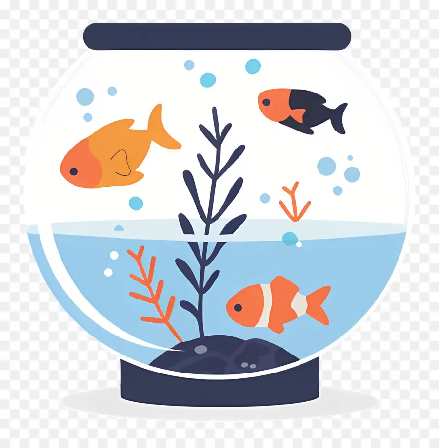 Fish Bowl，Pecera PNG