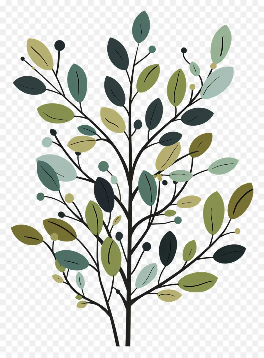 Arbusto De Hoja Perenne，Árbol PNG