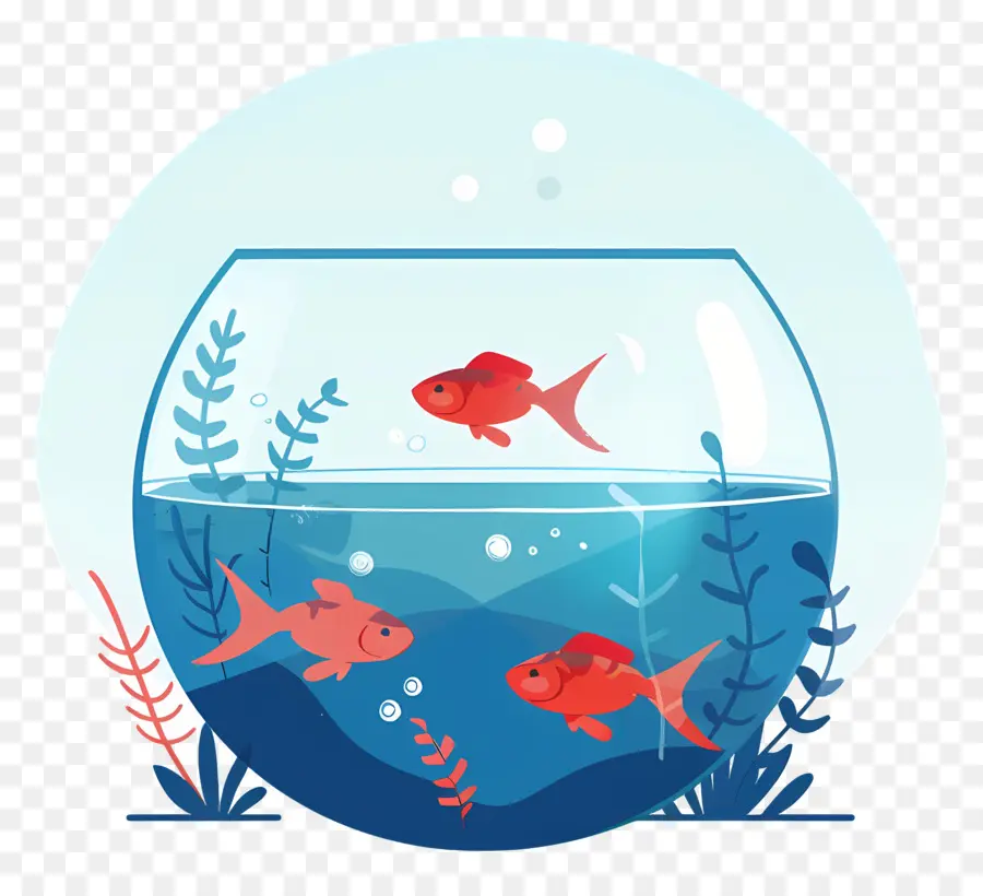 Fish Bowl，Las Plantas De Agua PNG