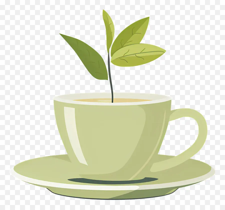 Té Verde，La Taza De Té PNG