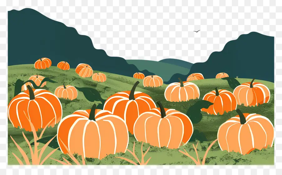 Pumpkin Patch，La Cosecha De Otoño PNG