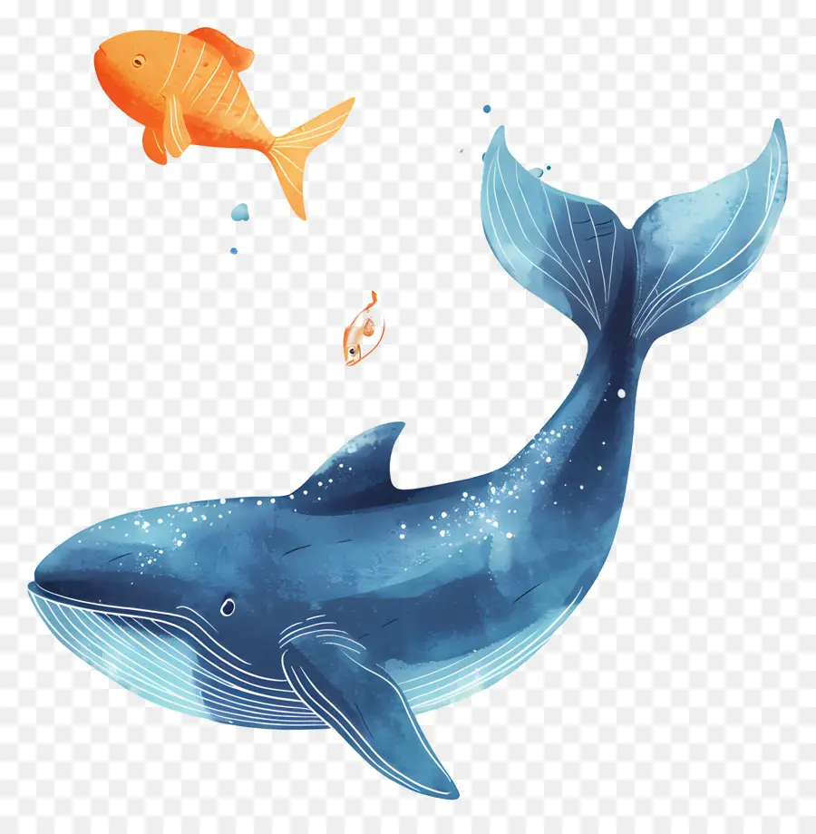 Ballena Y Pez，La Ballena Azul PNG