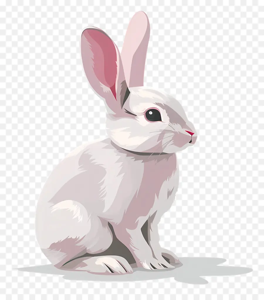 Conejito De Pascua，Conejo Blanco PNG