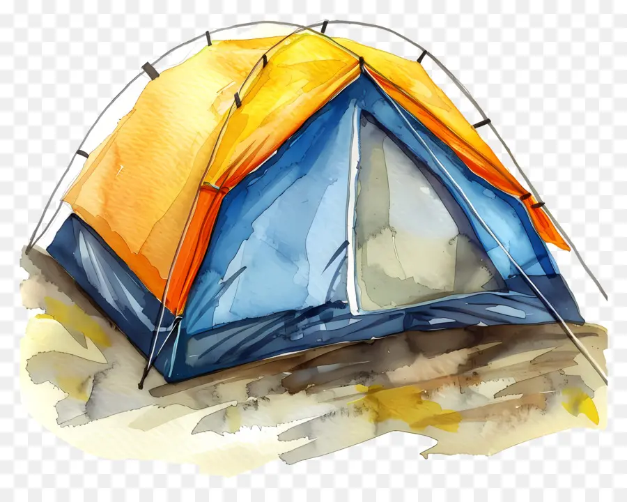 Carpa Turística，Carpa PNG