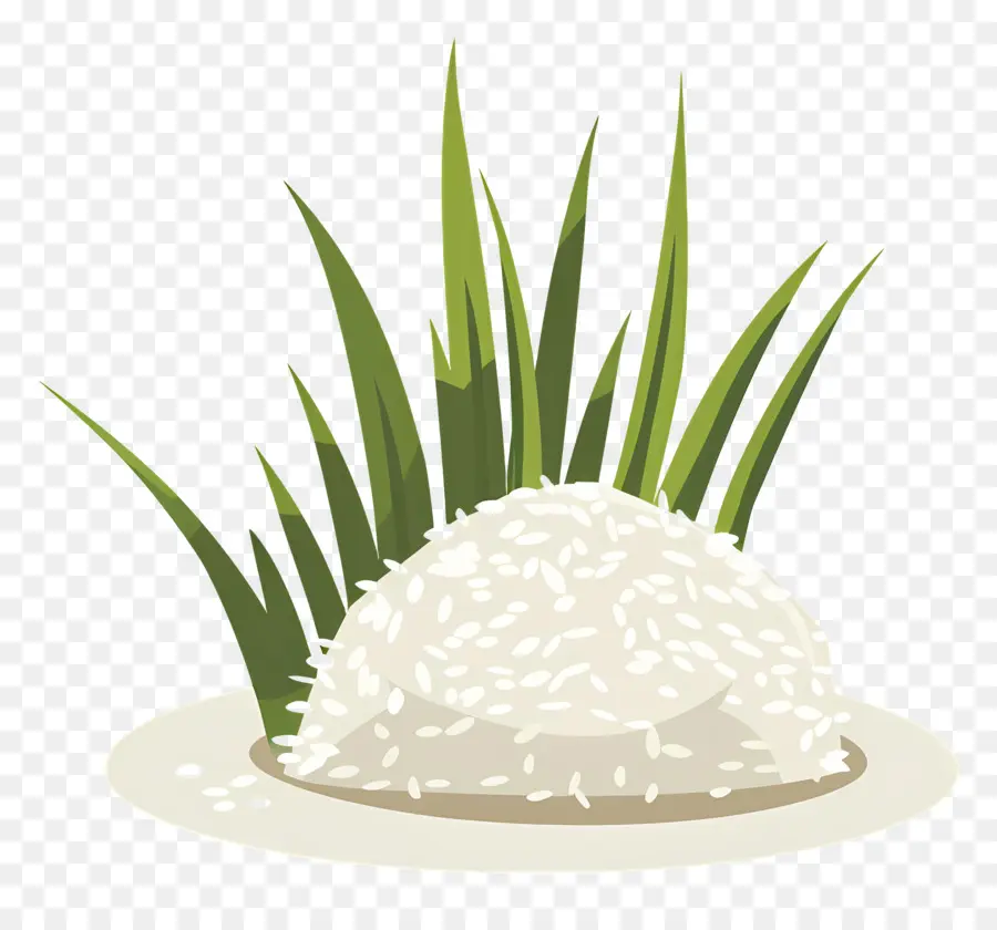 Arroz，Arroz Blanco PNG