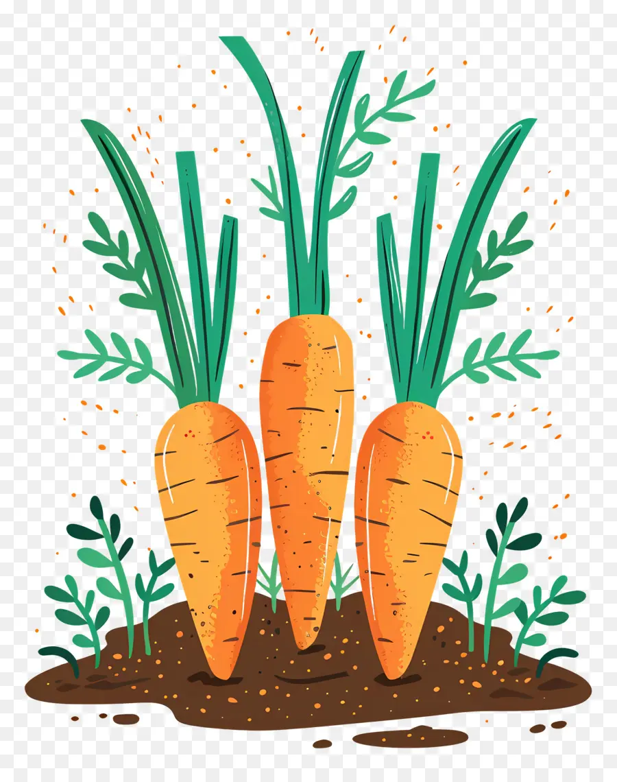 Parche De Zanahoria，Las Zanahorias PNG