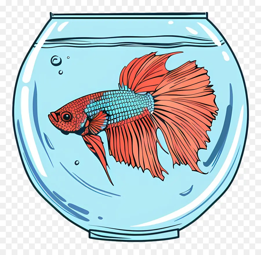 Los Peces Betta，Pecera PNG