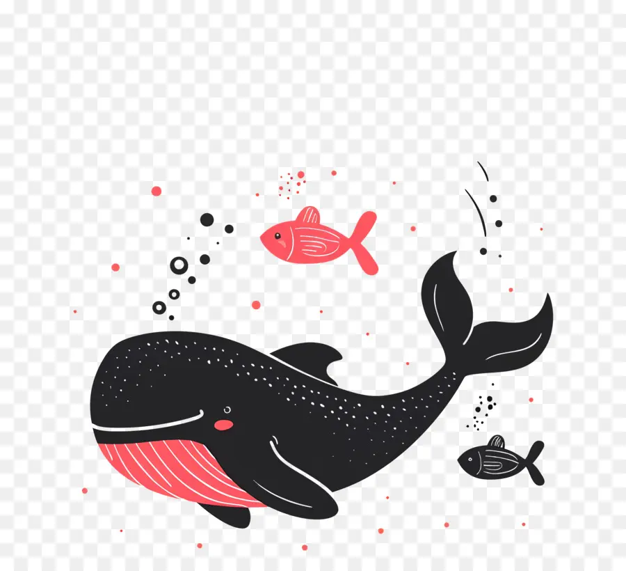 Ballena Y Pez，Ballena PNG