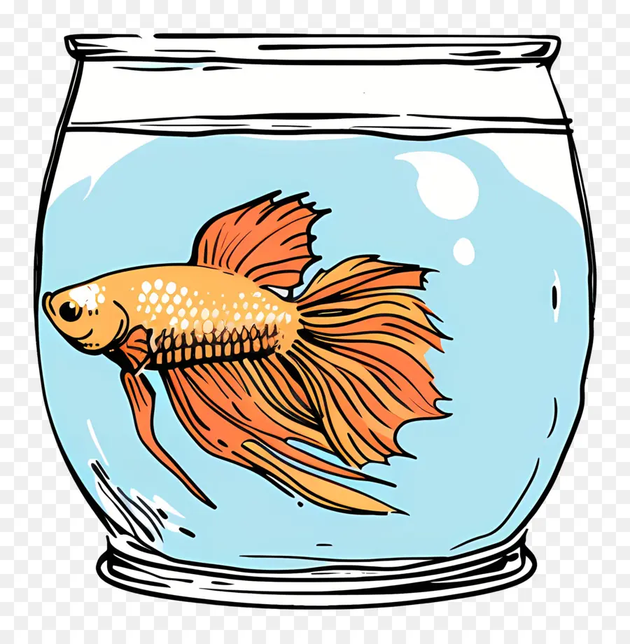 Los Peces Betta，Pecera PNG