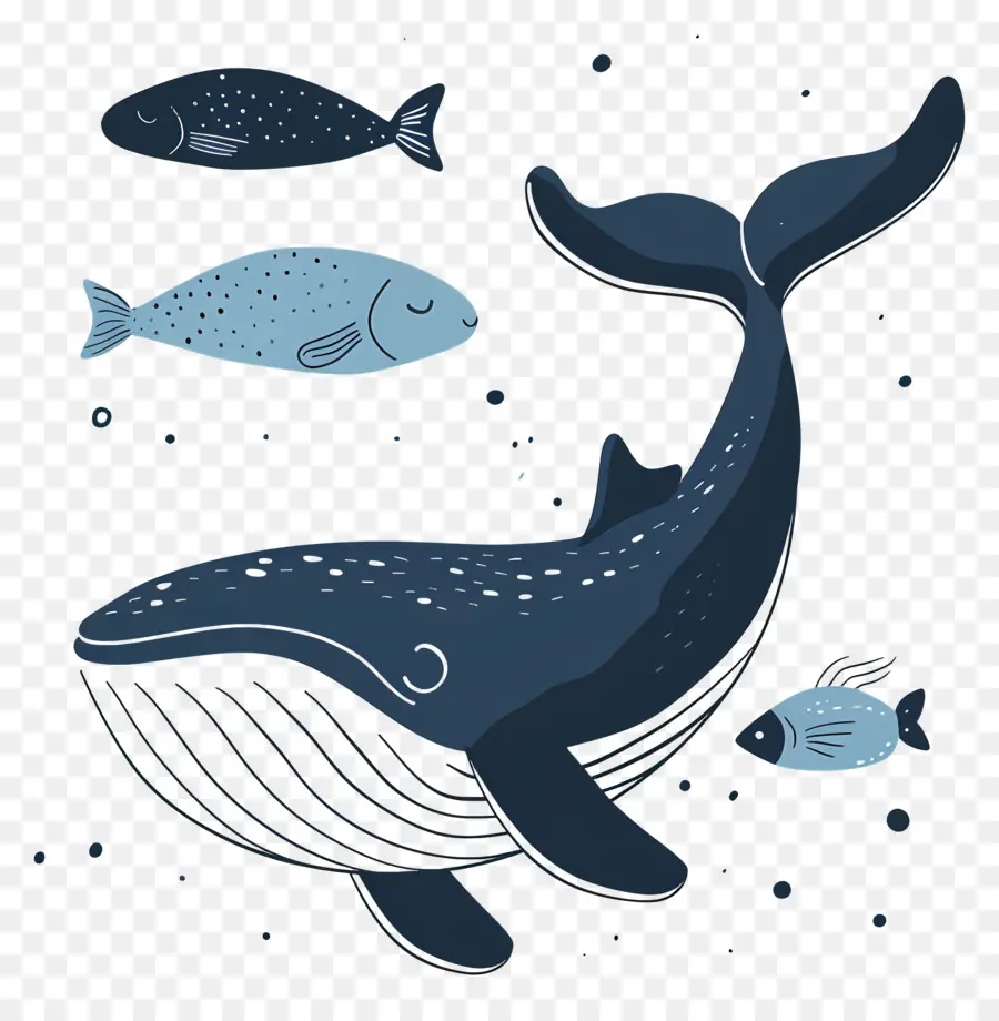 Ballena Y Pez，La Ballena Azul PNG