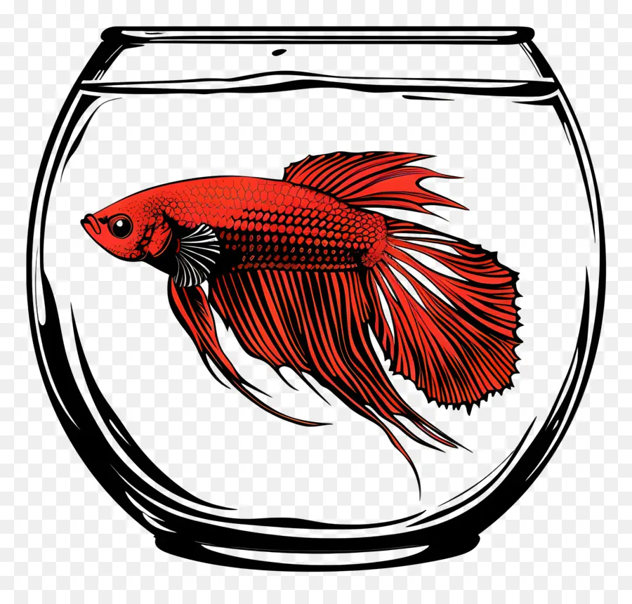 Los Peces Betta，Pecera PNG