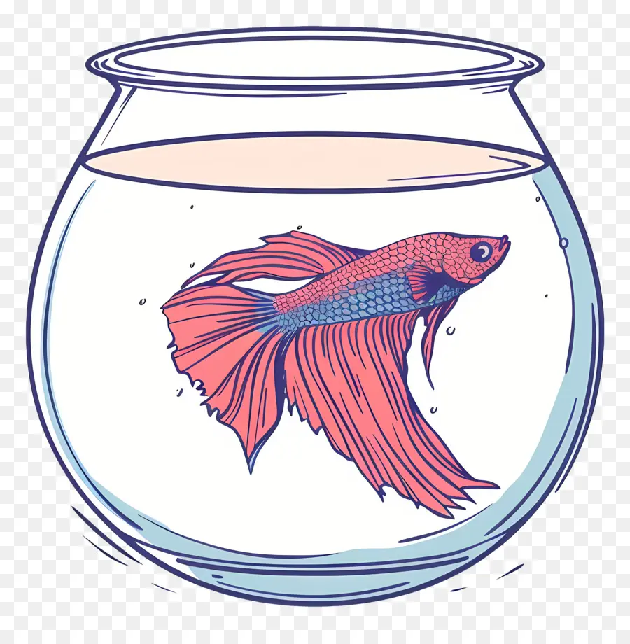 Los Peces Betta，Pecera PNG