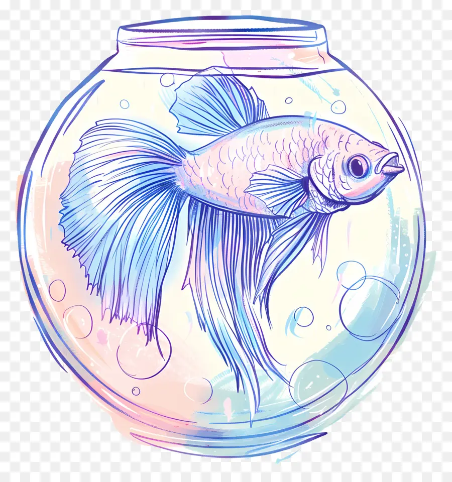 Los Peces Betta，Pecera PNG