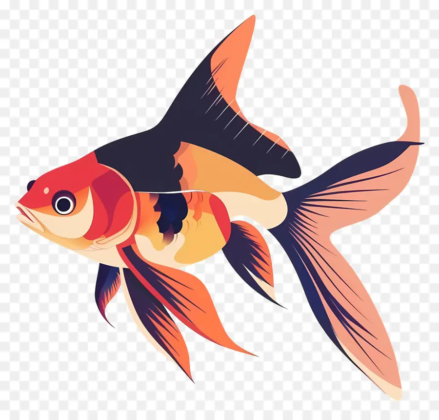 Los Peces De Acuario，Pez PNG