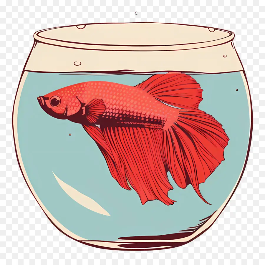 Los Peces Betta，Pecera PNG