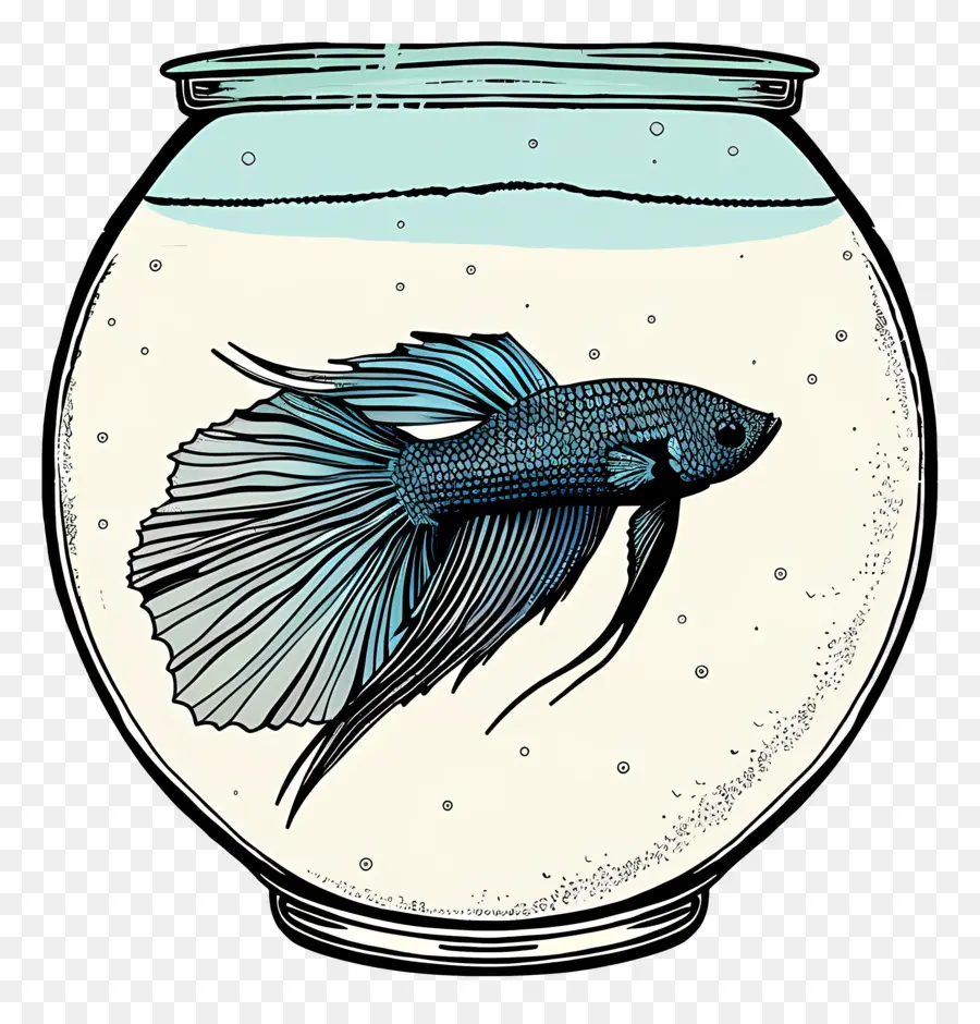 Los Peces Betta，Pecera PNG