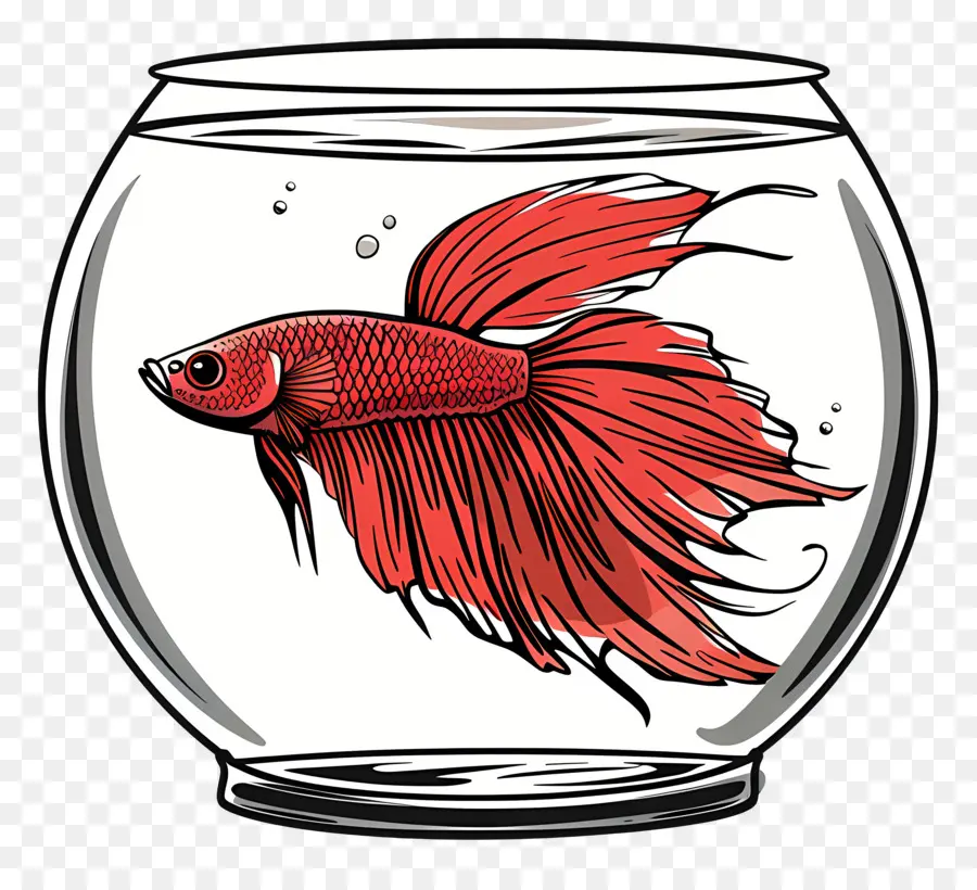 Los Peces Betta，Pecera PNG