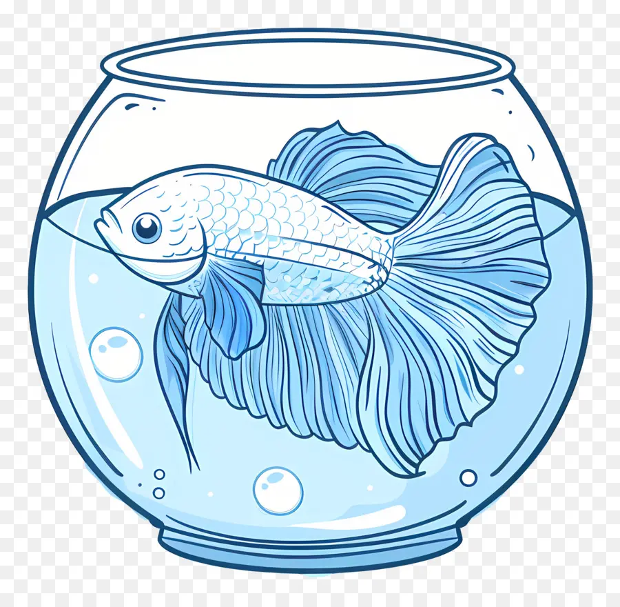 Los Peces Betta，Pecera PNG