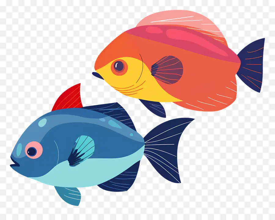 Los Peces De Acuario，Los Peces PNG