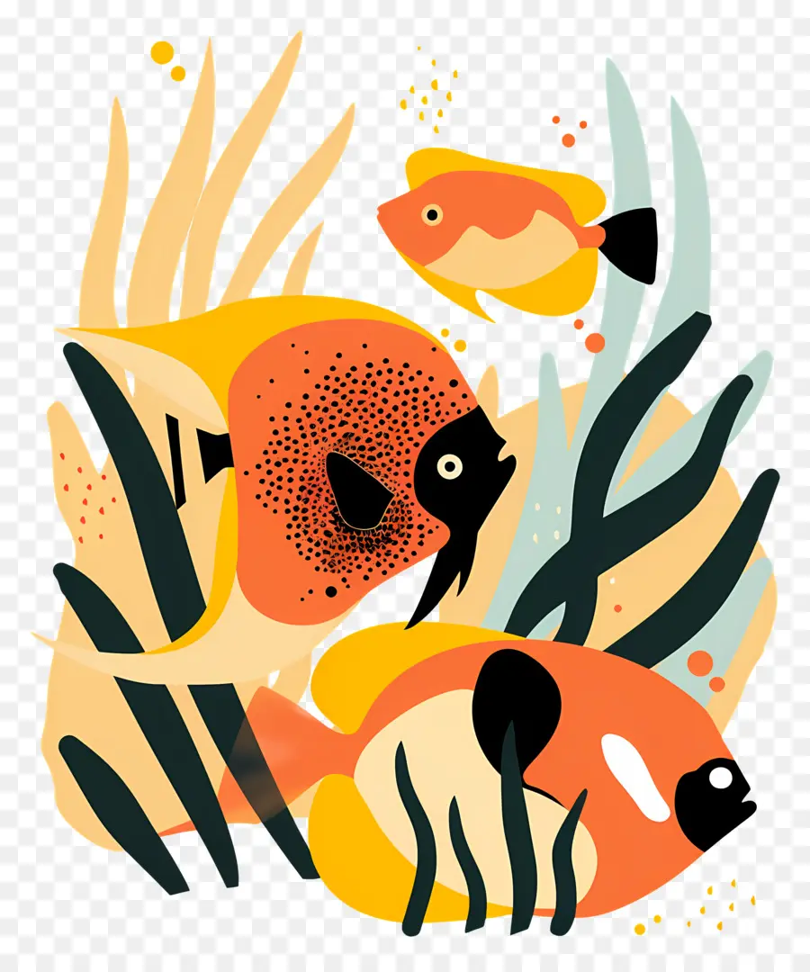 Los Peces De Acuario，Los Peces PNG