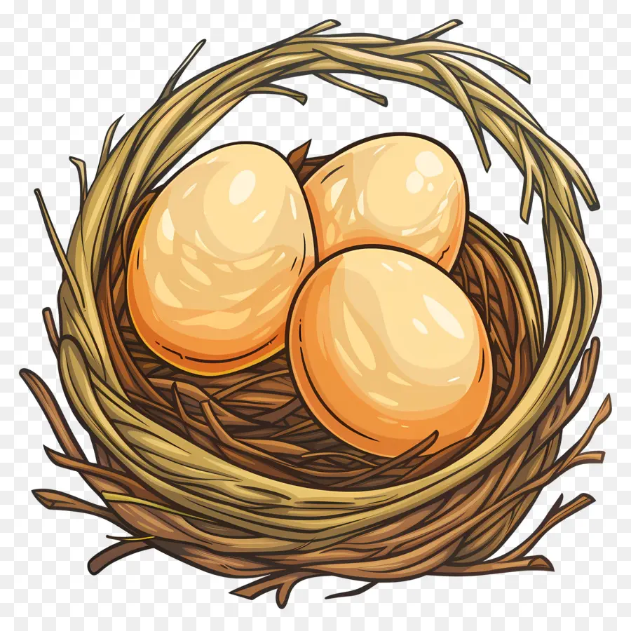 Nido Con Huevos，Eggs PNG